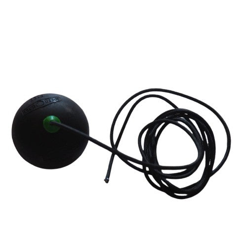 Bold til stangtennis